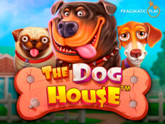 Türk dil kurumu kuruluşu. Dog house casino.54